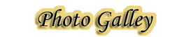 Photo Gallery
